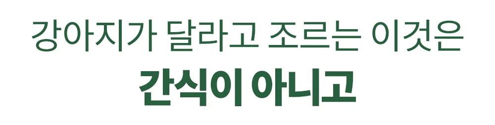 강아지가 달라고 조르는 이것은 간식이 아니고