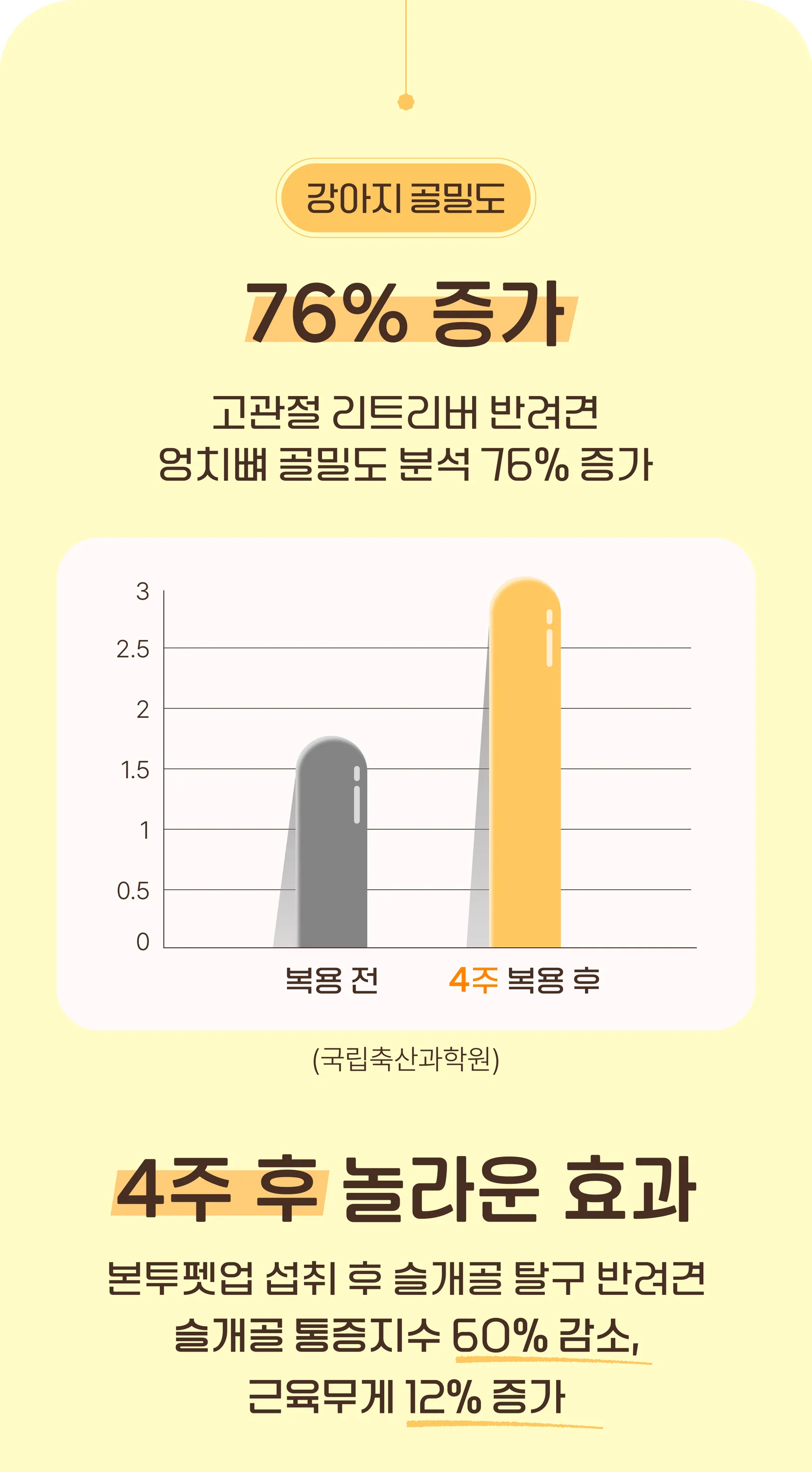 본투펫업 임상 데이터 — 강아지 골밀도 76% 증가, 슬개골 통증지수 60% 감소, 근육무게 12% 증가